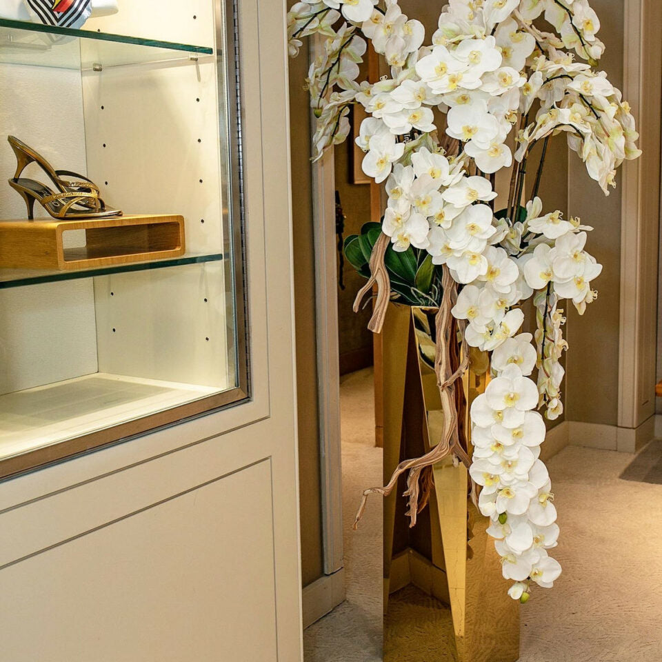 Cascading Phalaenopsis Orchids in Golden Prism Planter – The Ever Botanic