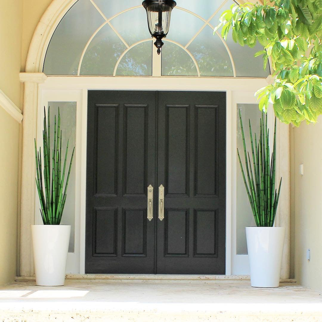 Cobra Grass (63 ") with Belle M Planter – The Ever Botanic