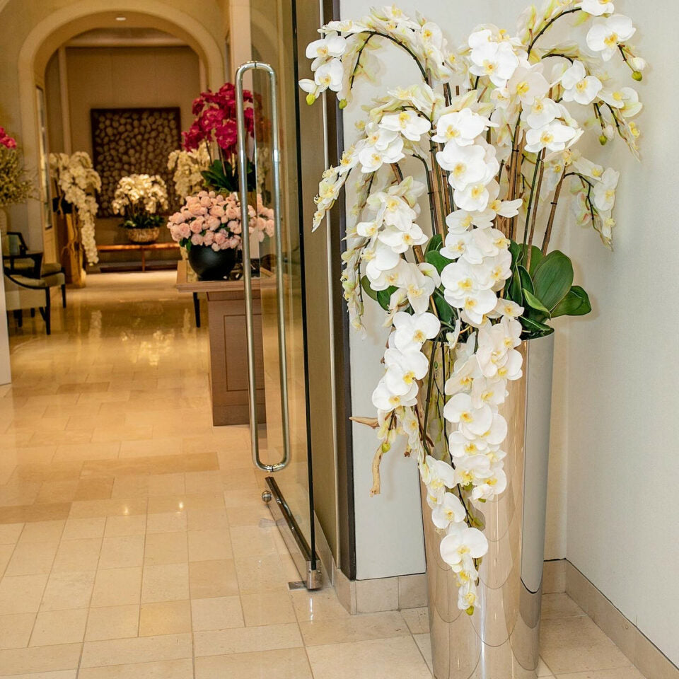 Cascading Phalaenopsis Orchids on Polished Stainless Steel Cone – The Ever Botanic