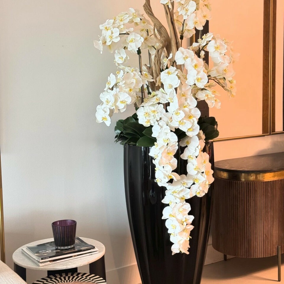 Glossy Black San Jose Vase with Cascading White Orchids – The Ever Botanic