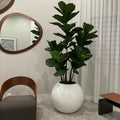 White Globe Vase 30" with Fiddle Tree – The Ever Botanic
