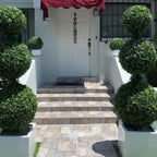 Triple Sphere Topiary with Medium Block Fiberglass Pot – The Ever Botanic