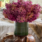 Mixed Mokara Orchids in Large Rotating Cylinder – The Ever Botanic