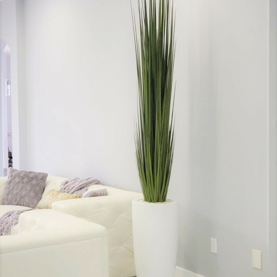 Dax Vase (Size L) with Reed Grass – The Ever Botanic
