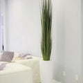 Dax Vase (Size L) with Reed Grass – The Ever Botanic
