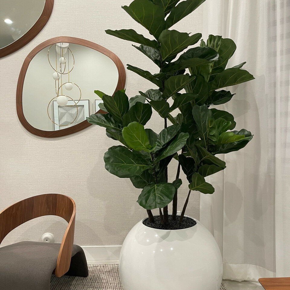 White Globe Vase 30" with Fiddle Tree – The Ever Botanic