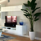 2.7 m Bird of Paradise Plant with Ben Planter in Glossy White – The Ever Botanic