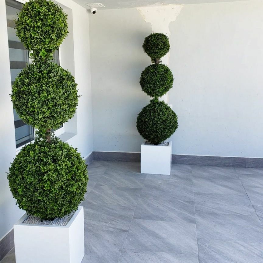 Triple Sphere Topiary with Medium Block Fiberglass Pot – The Ever Botanic