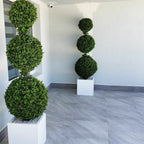 Triple Sphere Topiary with Medium Block Fiberglass Pot – The Ever Botanic