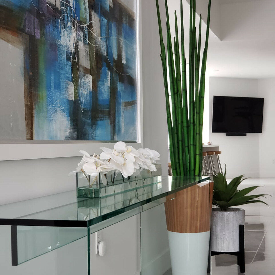 Snake Grass (183 cm) with White Lux Planter – The Ever Botanic