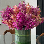 Mixed Mokara Orchids in Large Rotating Cylinder – The Ever Botanic