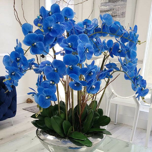 Avenue Bowl with Blue Phalaenopsis Orchids – The Ever Botanic