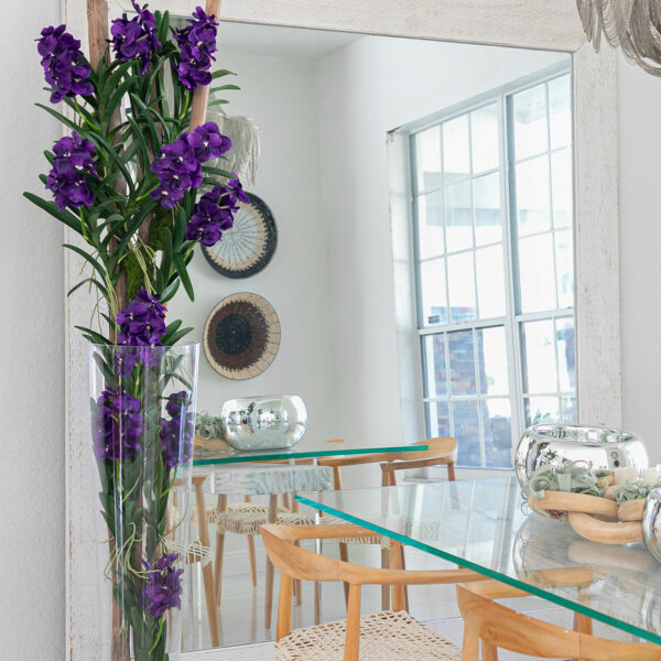 Lila Vanda Orchids and Driftwood in a Conical Glass Cylinder – The Ever Botanic