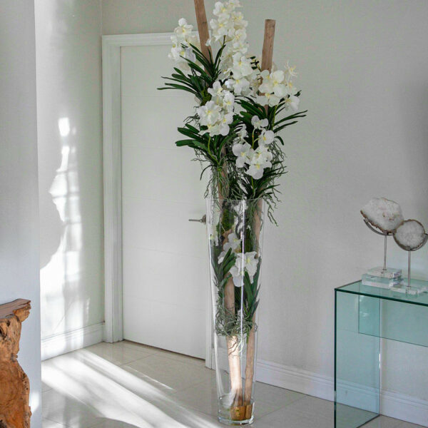 White Vanda Orchids and Driftwood Inside a Large Conical Glass Cylinder – The Ever Botanic