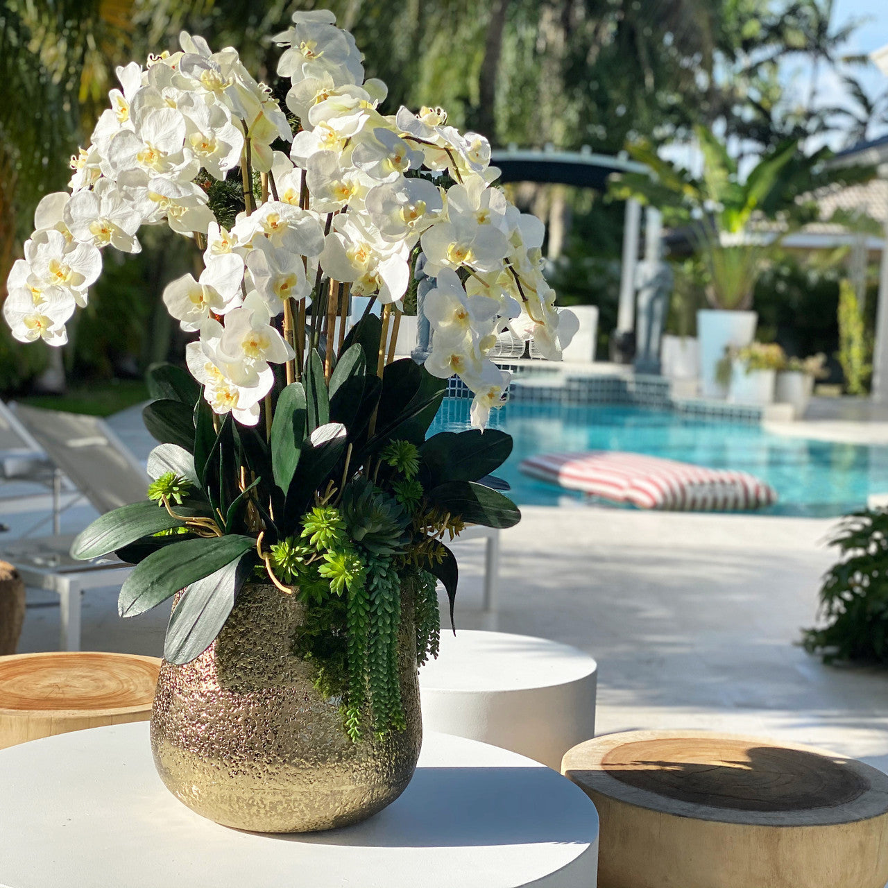 Delaney Vase in Gold with Multiple Phalaenopsis Orchid Stems and Succulents – The Ever Botanic