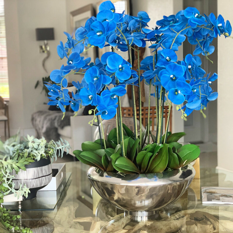 Avenue Bowl with Blue Phalaenopsis Orchids – The Ever Botanic