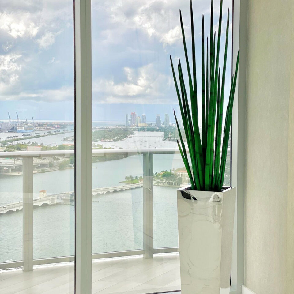 Stainless Steel Cube Planter with Snake Grass – The Ever Botanic