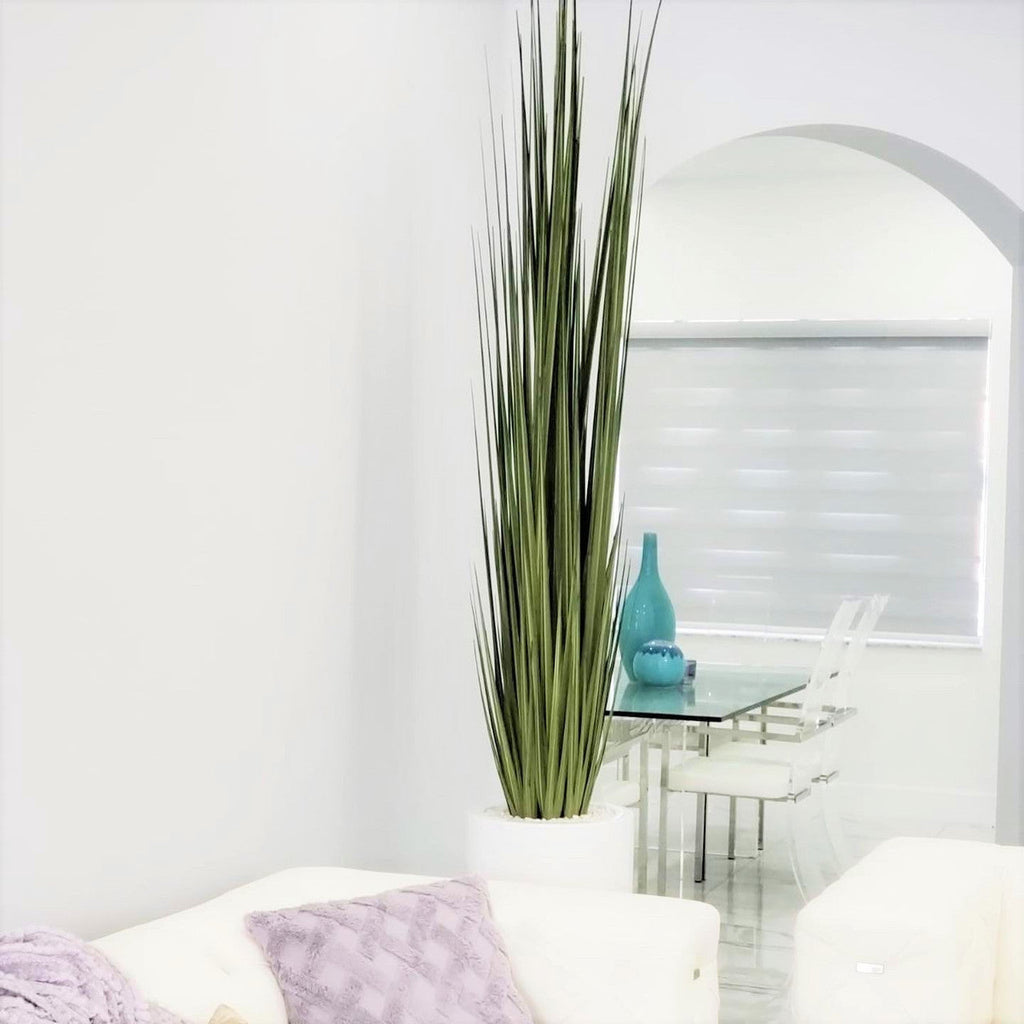 Dax Vase (Size L) with Reed Grass – The Ever Botanic
