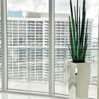 Stainless Steel Cube Planter with Snake Grass – The Ever Botanic