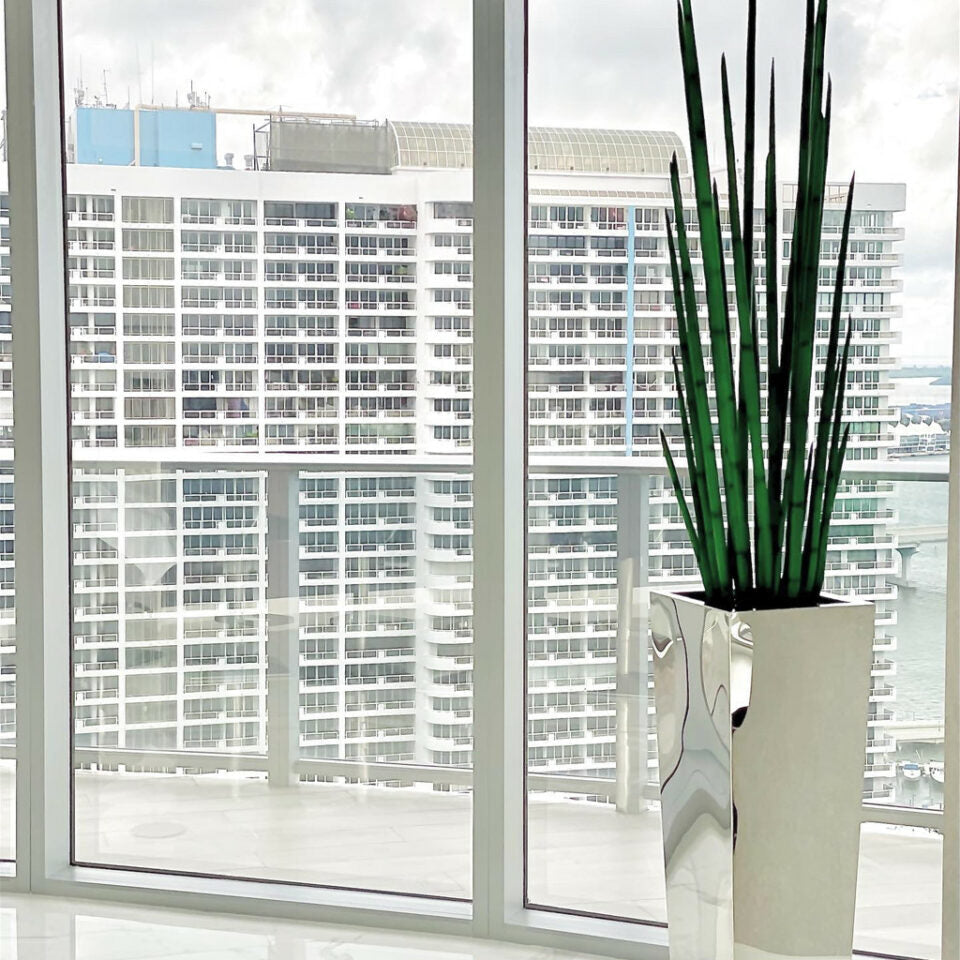 Stainless Steel Cube Planter with Snake Grass – The Ever Botanic