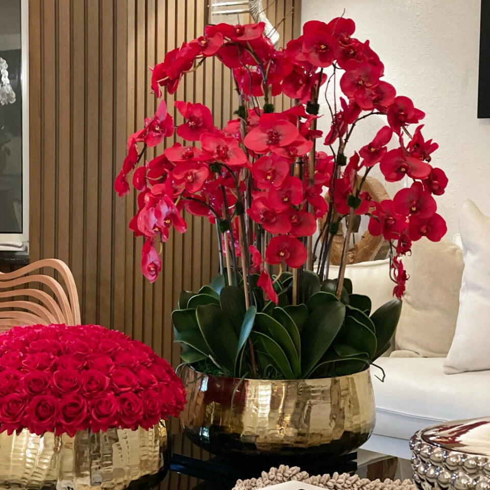 Red Phalaenopsis Orchids in a Medium Gold Pot – The Ever Botanic