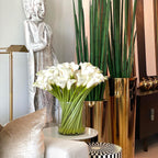 Calla Lilies in Glass Cylinder 10" – The Ever Botanic