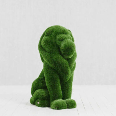 Sitting Lion Topiary – The Ever Botanic