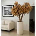 Magnolia Tree in Beige in Glossy White Pot – The Ever Botanic