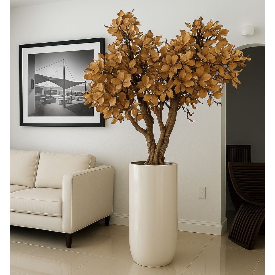 Beige Magnolia Tree in Pot St. Tr. Glossy White Release – The Ever Botanic
