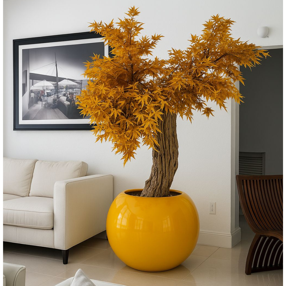 Bright Yellow Globe Vase with Japanese Maple Tree – The Ever Botanic