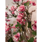 Pink Magnolia Tree in St. Tropez Pot in Radiant White – The Ever Botanic