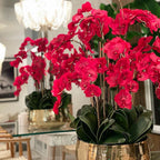 Red Phalaenopsis Orchids in a Medium Gold Pot – The Ever Botanic