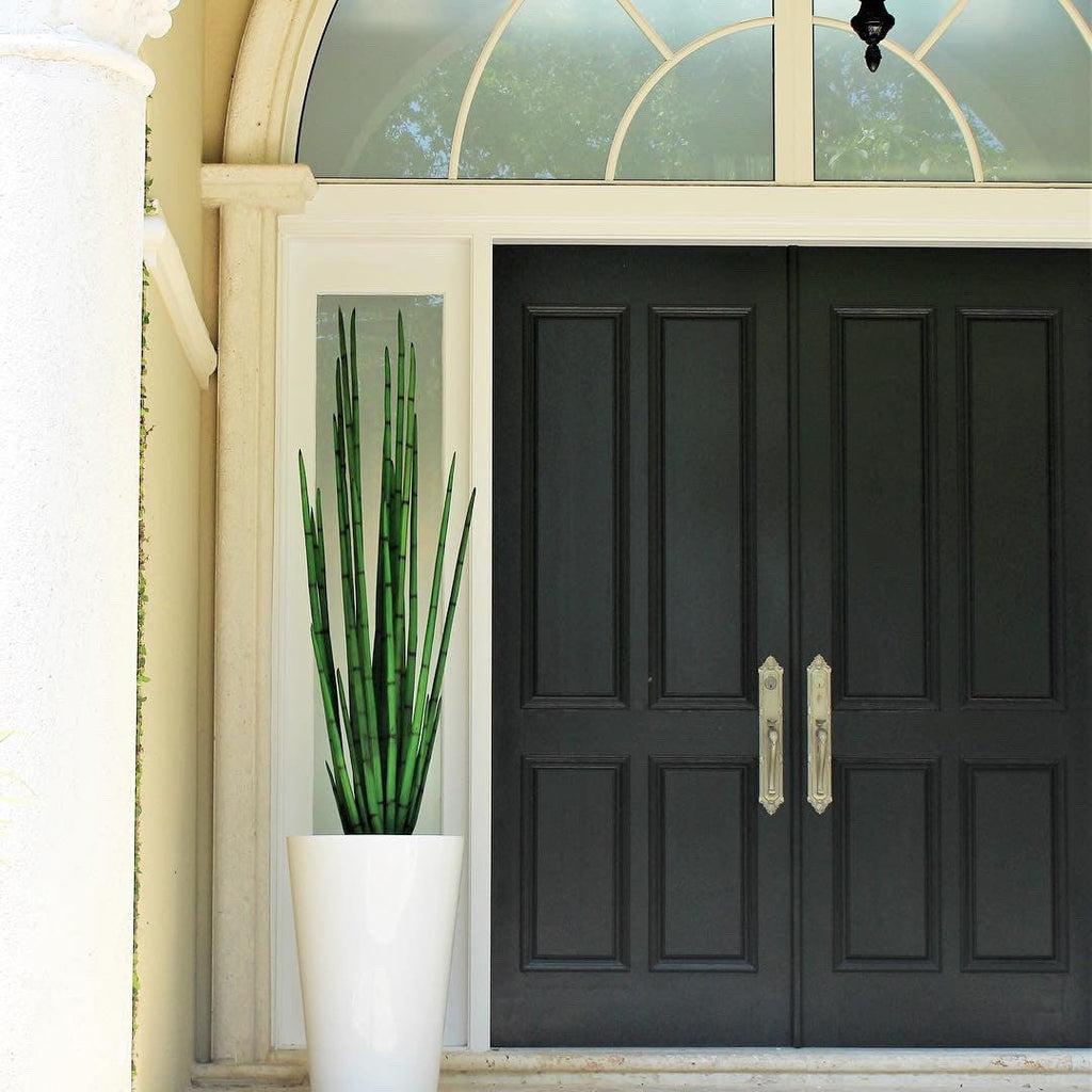 Cobra Grass (63 ") with Belle M Planter – The Ever Botanic