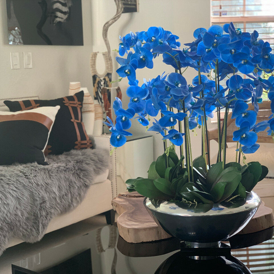 Bowl Avenue with Blue Phalaenopsis Orchids – The Ever Botanic
