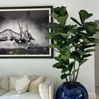 30" Blue Globe Planter with Fiddle Leaf Fig – The Ever Botanic
