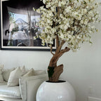 Shiny white globe vase with personalized Cherry Blossom Tree – The Ever Botanic