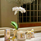 Rendezvous Parisian Reed Diffuser – The Ever Botanic