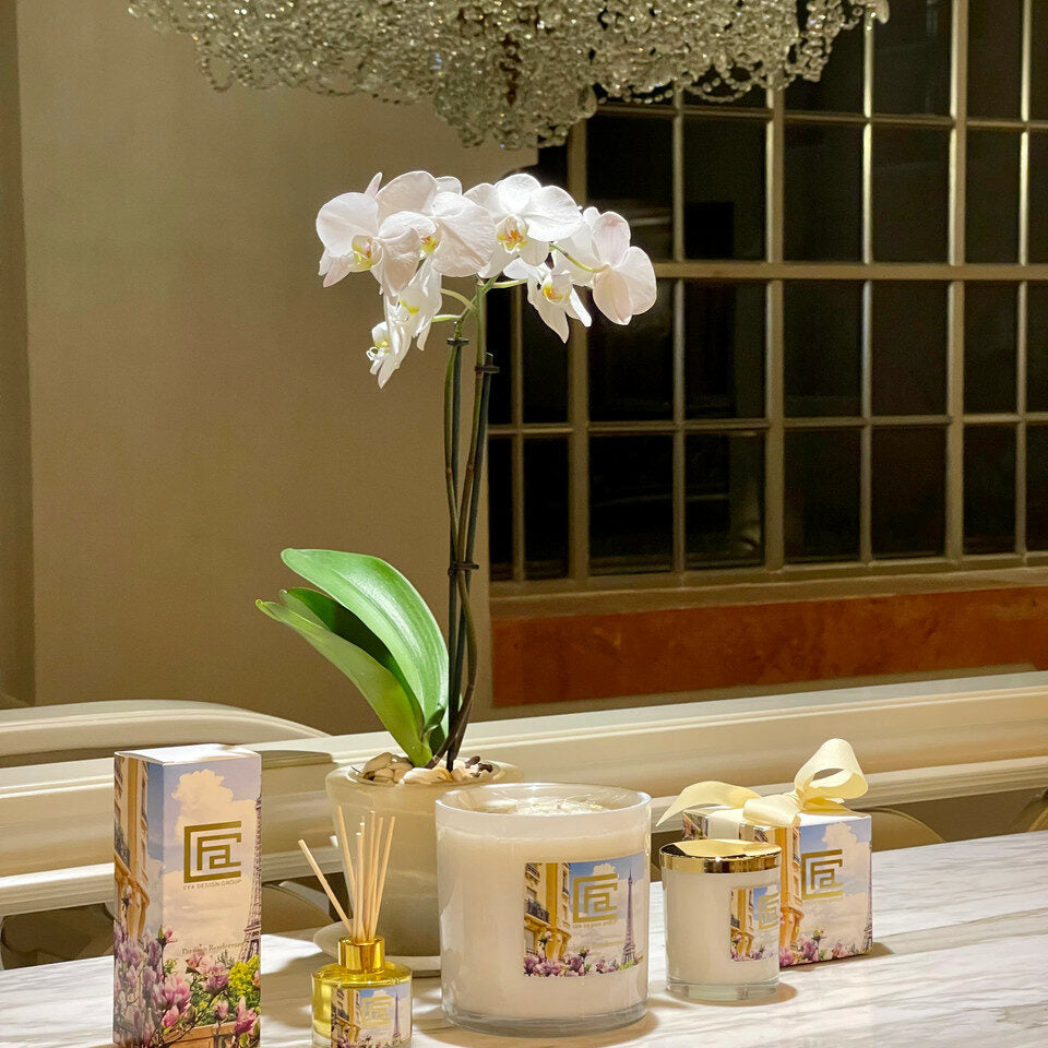 Rendezvous Parisian Reed Diffuser – The Ever Botanic