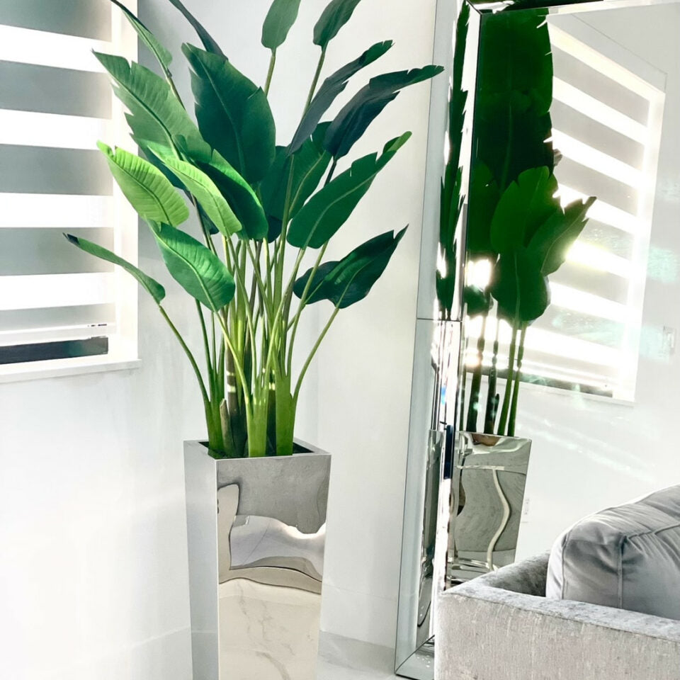 Bird of Paradise Plant (2.1 m) in Stainless Steel Cube Vase – Size M – The Ever Botanic