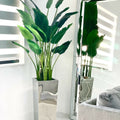 Bird of Paradise Plant (2.1 m) in Stainless Steel Cube Vase – Size M – The Ever Botanic
