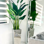 Bird of Paradise Plant (2.1 m) in Stainless Steel Cube Vase – Size M – The Ever Botanic
