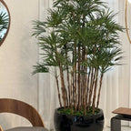 Black Terragona Pot with Lady Palm – The Ever Botanic