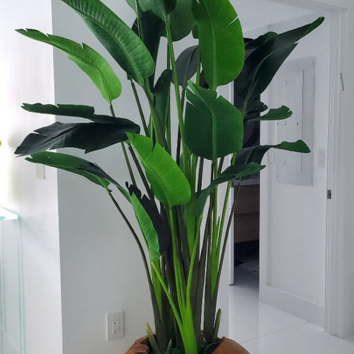 Large Teak Root Vase with Large Bird of Paradise – The Ever Botanic