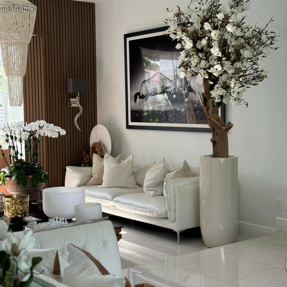White Magnolia Tree in Shiny St. Tropez Beige Pot – The Ever Botanic