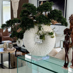 Large Eternity Vase with Hanging Bonsai and Driftwood – The Ever Botanic