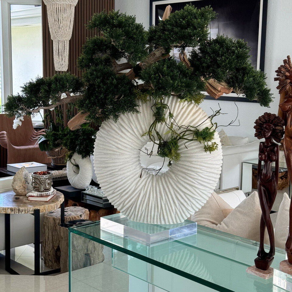 Large Eternity Vase with Hanging Bonsai and Floating Wood – The Ever Botanic