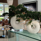 Large Eternity Vase with Hanging Bonsai and Floating Wood – The Ever Botanic