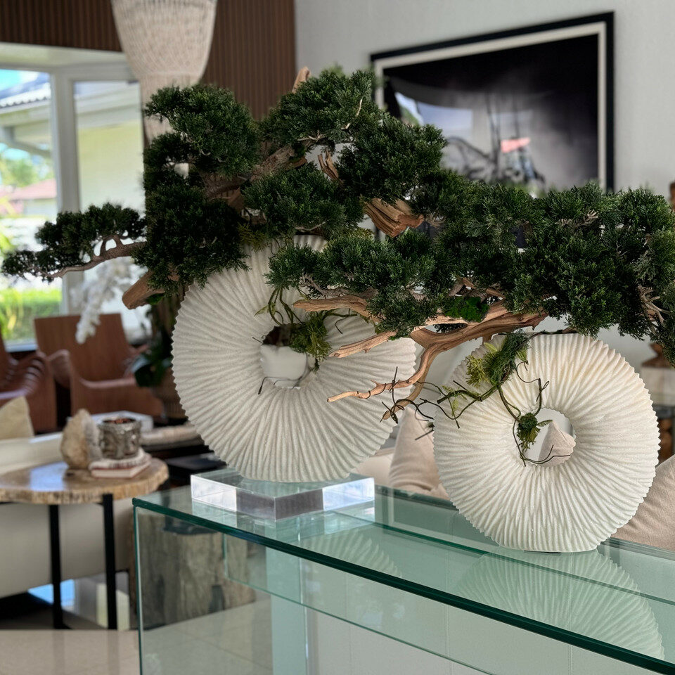 Large Eternity Vase with Hanging Bonsai and Floating Wood – The Ever Botanic