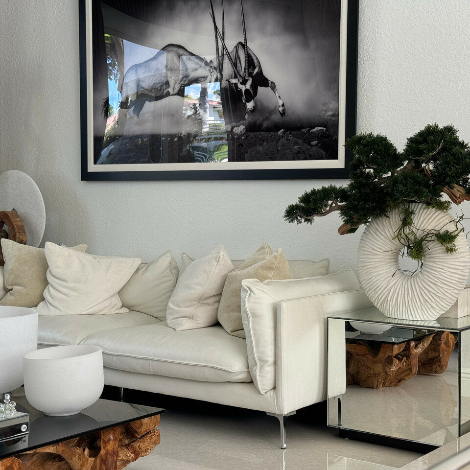 Large Eternity Vase with Hanging Bonsai and Floating Wood – The Ever Botanic
