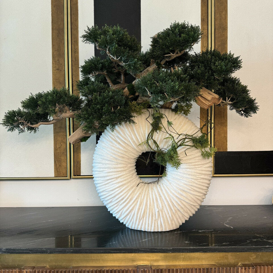 Large Eternity Vase with Hanging Bonsai and Floating Wood – The Ever Botanic